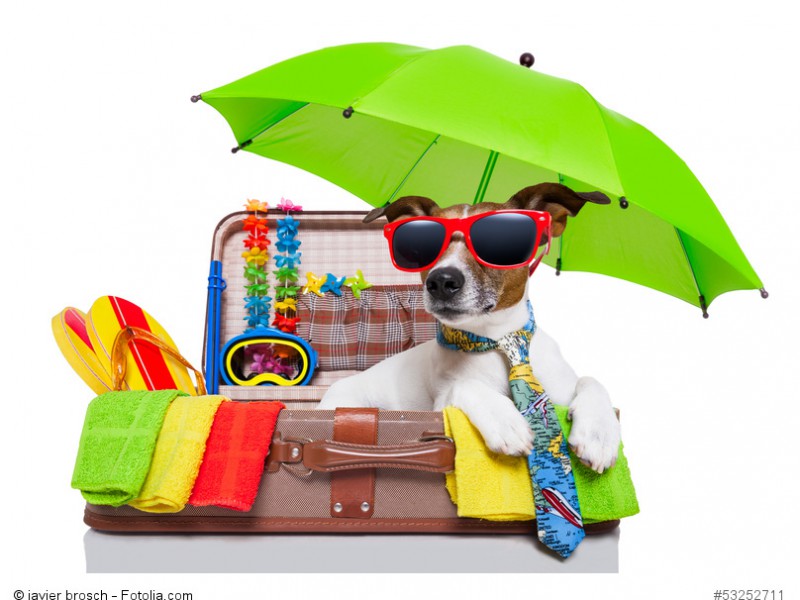 Urlaub-mit-Hund