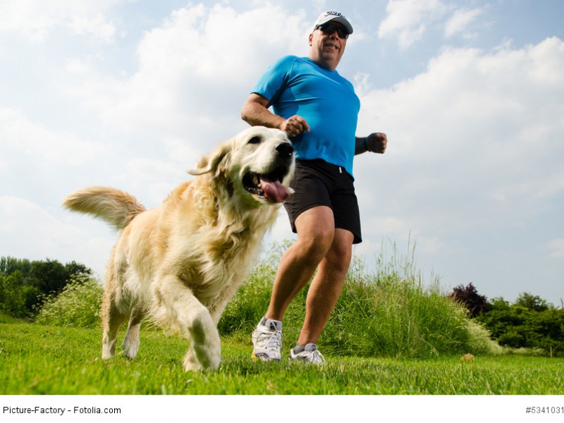 Joggen mit dem Hund