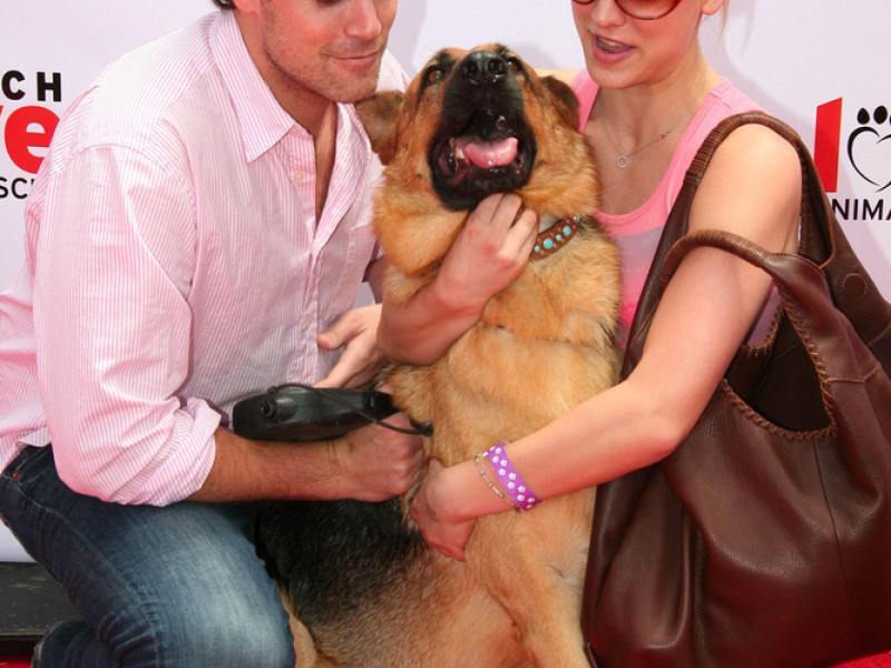 Kaley Cuoco (The Big Bang Theory) und Jaron Lowenstein mit ihrem Schäferhund