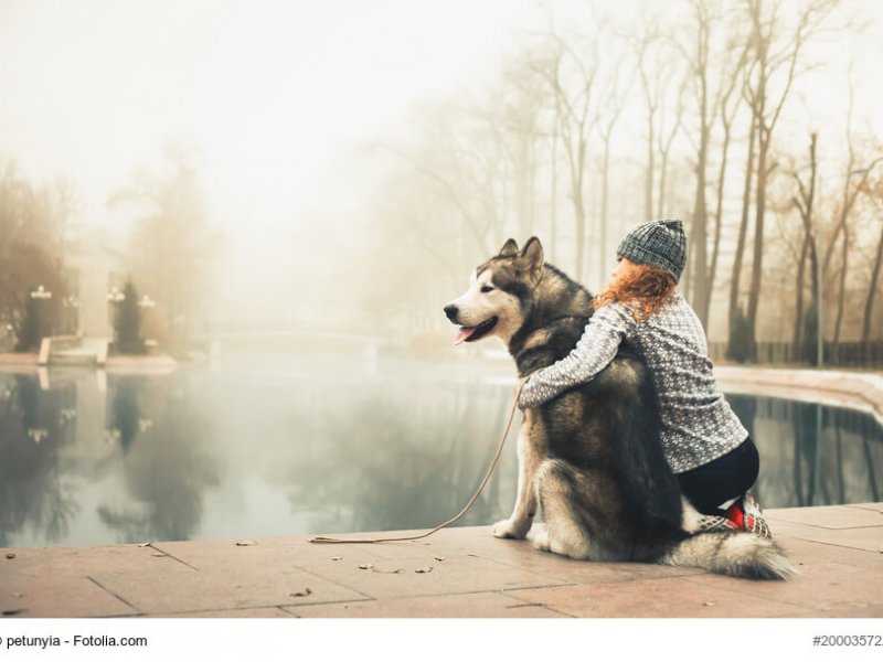 Image of young girl with her dog, alaskan malamute, outdoor