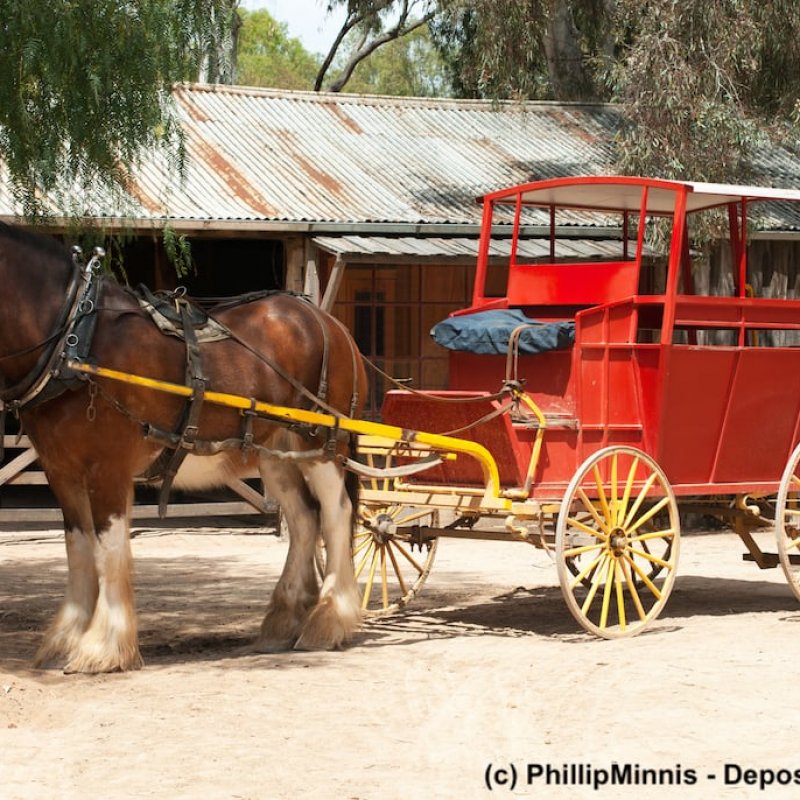 Rote Kutsche mit Clydesdale