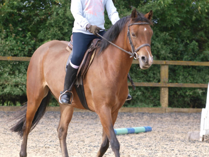 Young Girl Enjoying Horse Riding