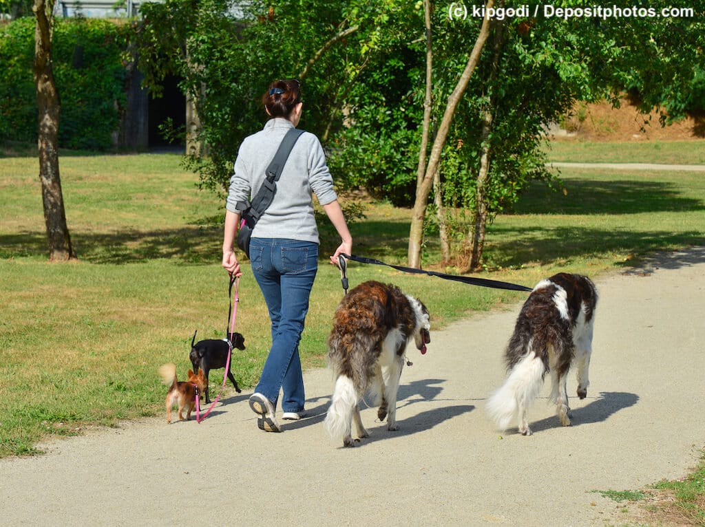 Dogsitter