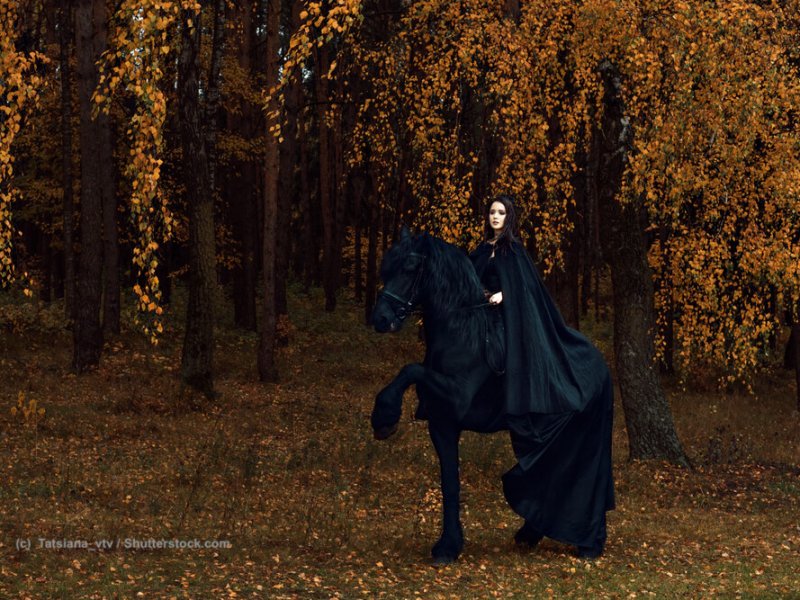 Gothicshow mit Friese