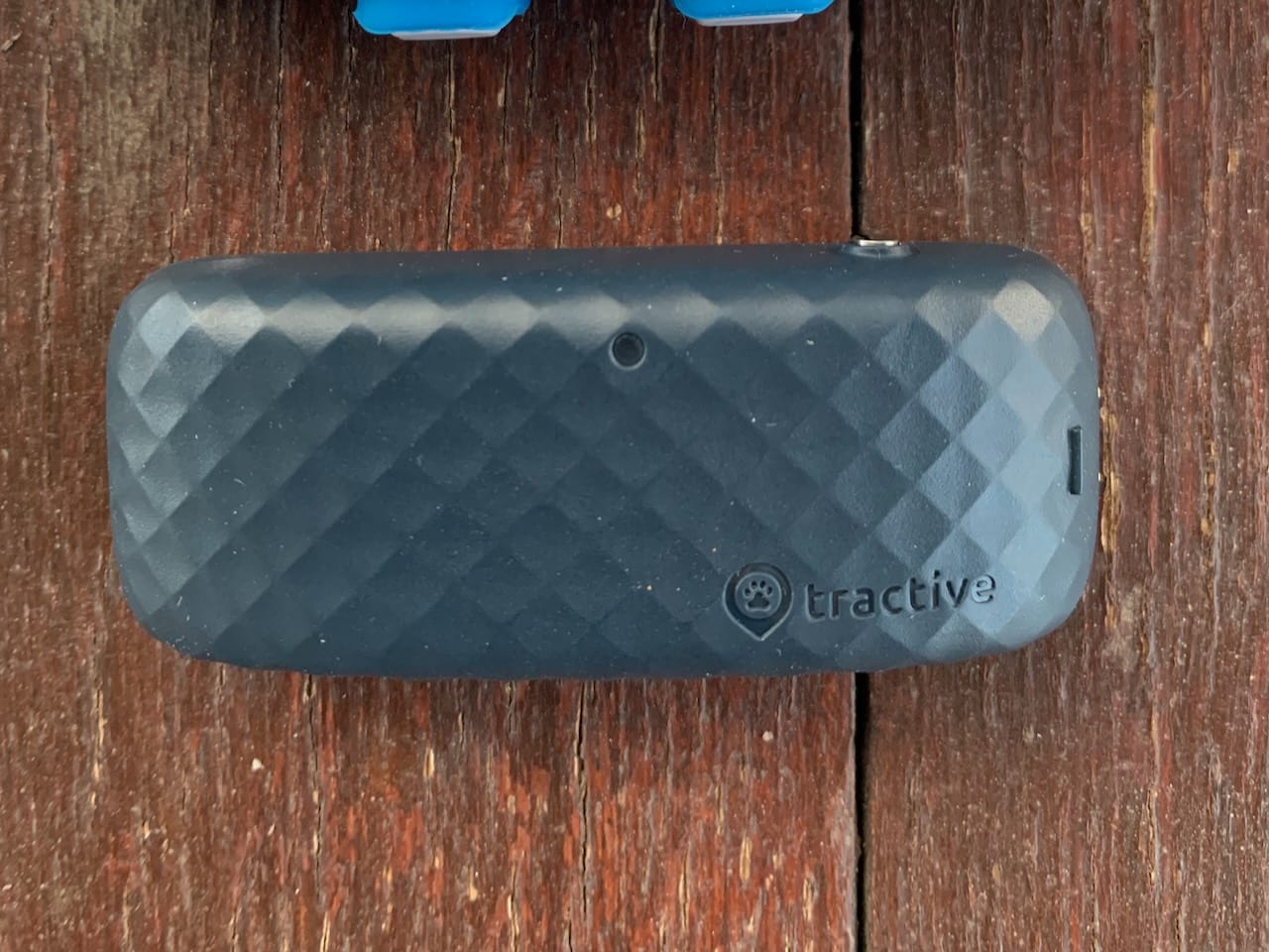 Der CAT 4 GPS-Tracker von tractive wird in einer Gummihülle am Haslband befestigt. Dadurch gibt es keine Lücke zwischen Halsband und Tracker.