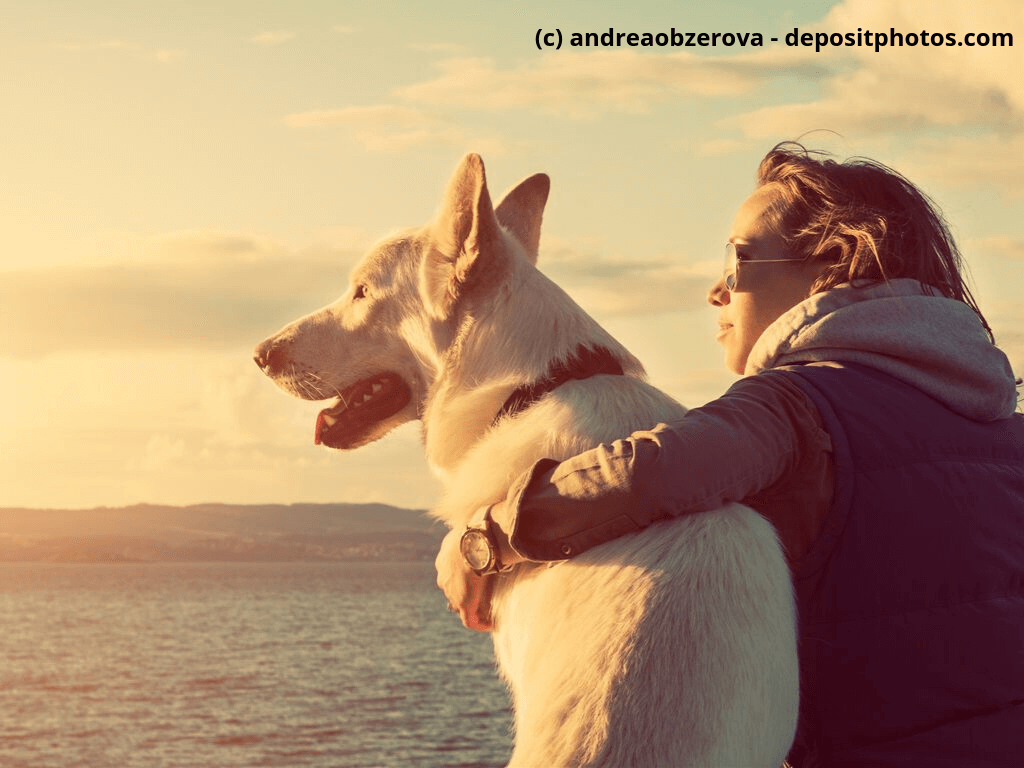 Junges Mädchen mit ihrem Hund an einem Strand