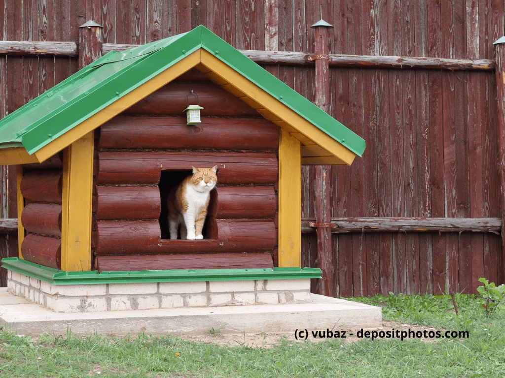 Katze schaut aus einer Hundehütte im Garten