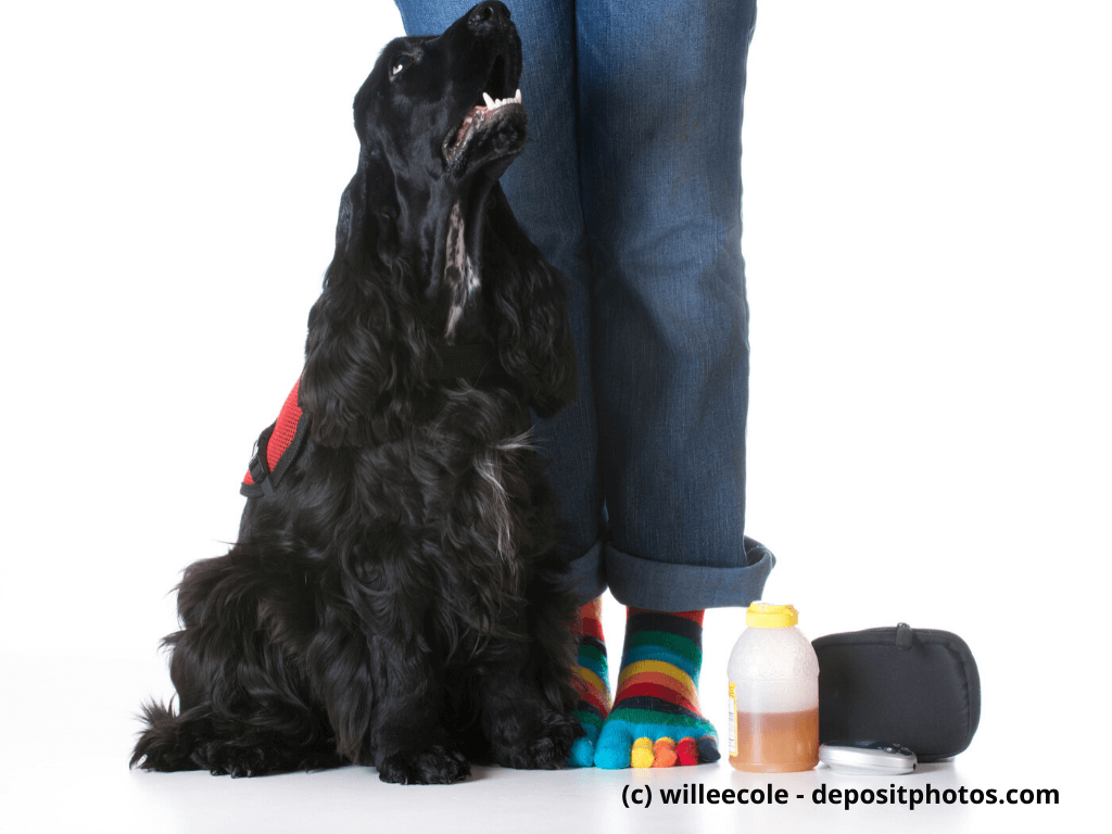 Medizinische-Warnhunde-können-Lebensretter-sein