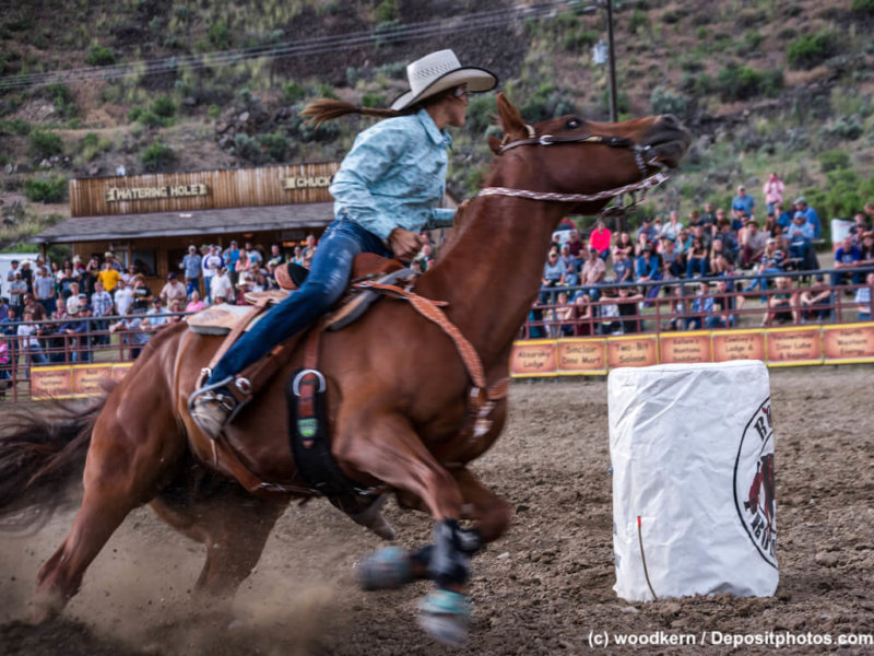 Rodeo Rider in Action