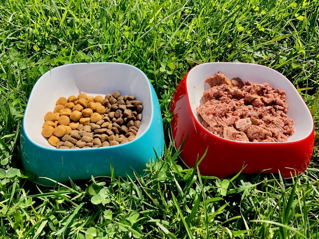 Zwei Hundenäpfe stehen auf einer Wiese, ein blauer mit verschiedenem Trockenfutter unterschiedlicher Farbe und Größe gefüllt, rechts daneben ein roter mit Nassfutter gefüllt.