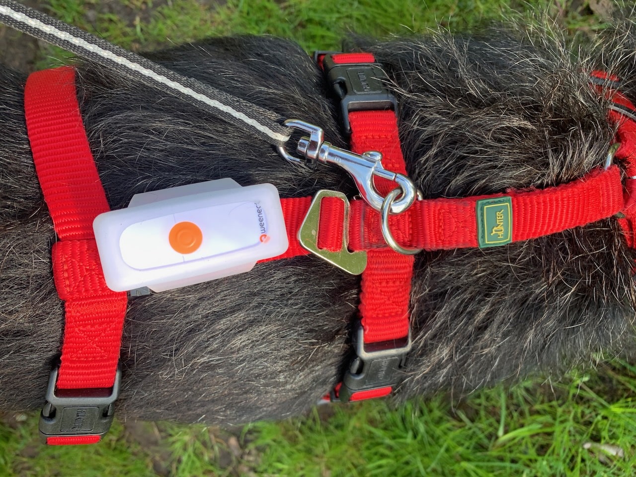 Der Tracker an sich ist in seiner Befestigung sicher verstaut.