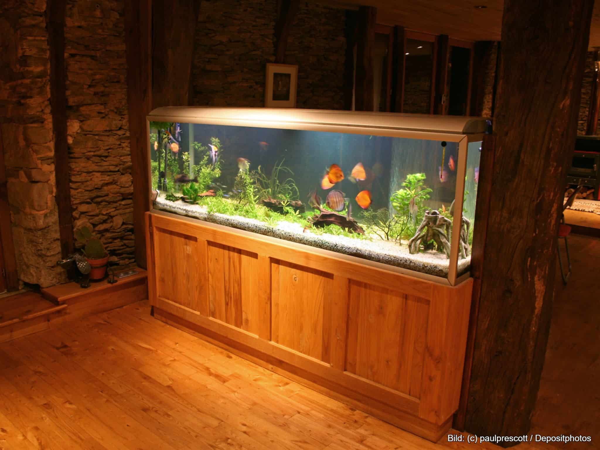 Aquarium-Unterschrank Komplettset