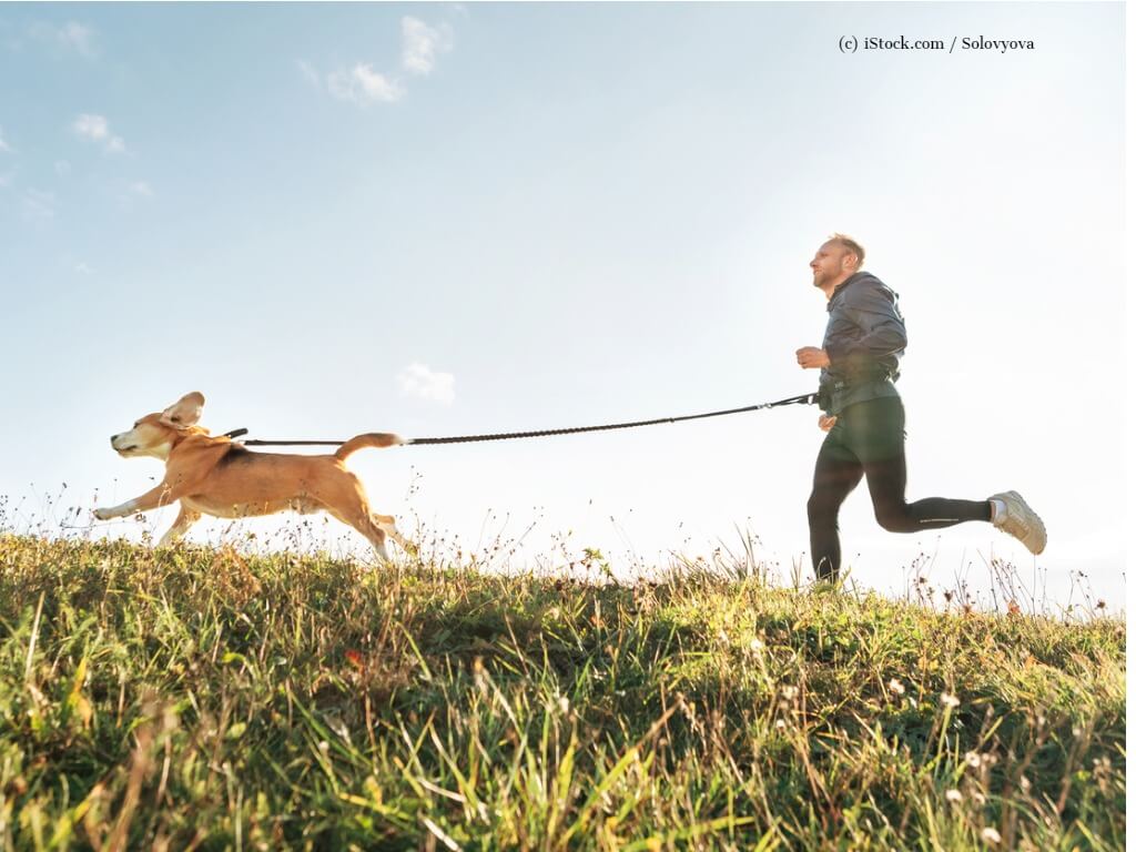 Hund und Halter joggen zusammen.