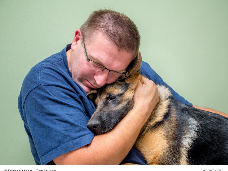 Auch wenn er eigentlich ein Wachhund ist, freut sich ein Schäferhund über Schmuseeinheiten.