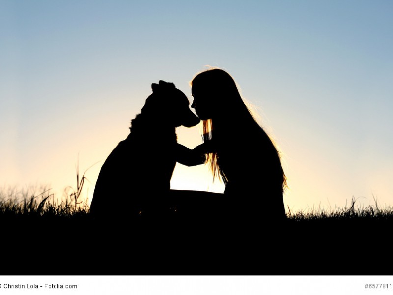 Hast du dir einmal die Freundschaft eines Schäferhundes verdient, behältst du sie für den Rest eines Hundelebens.