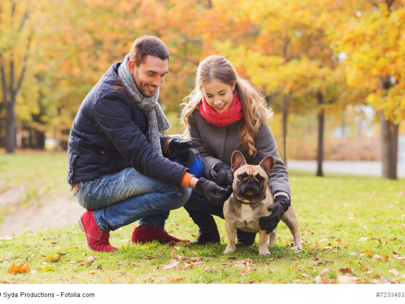 Frenchys brauchen den Familienanschluss und gehören auf keinen Fall in einen Zwinger!