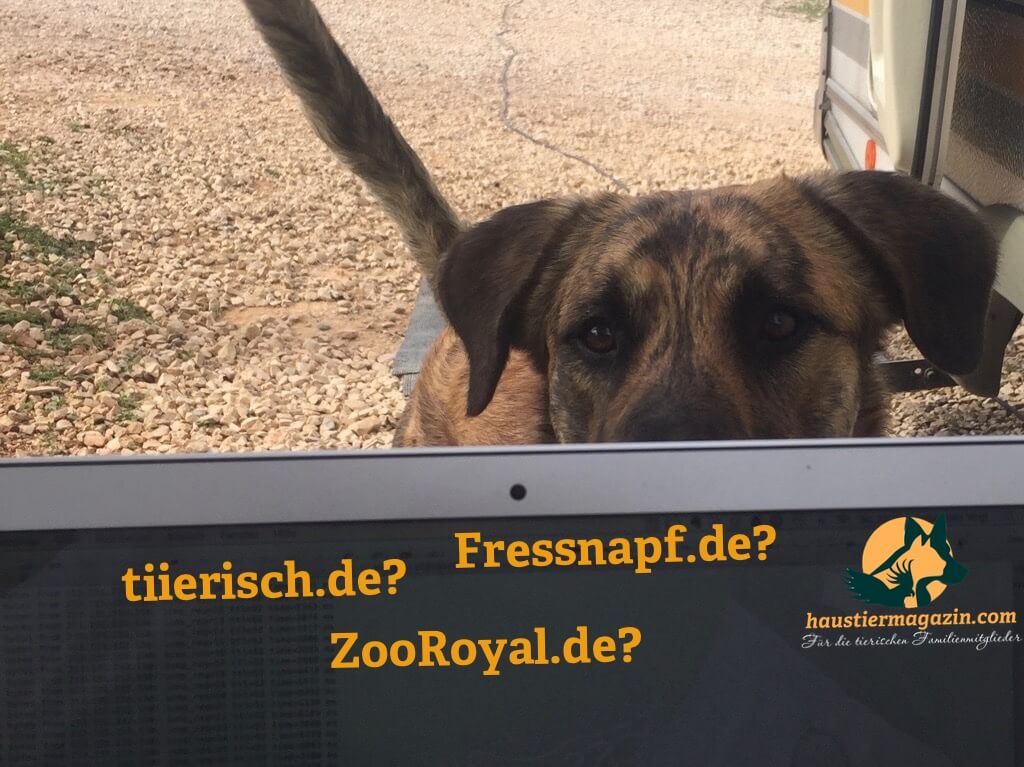 Ein Hund schaut über den Rand eines laptop auf dem "tiierisch.de?", "Fressnapf.de?" und "ZooRoyal.de?" steht