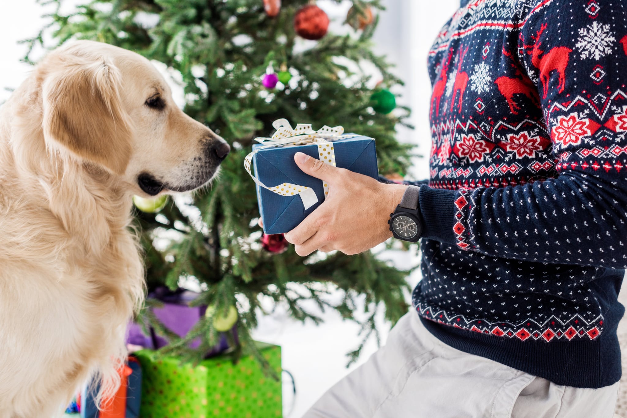 Hund Geschenk Weihnachten Weihnachtsbaum