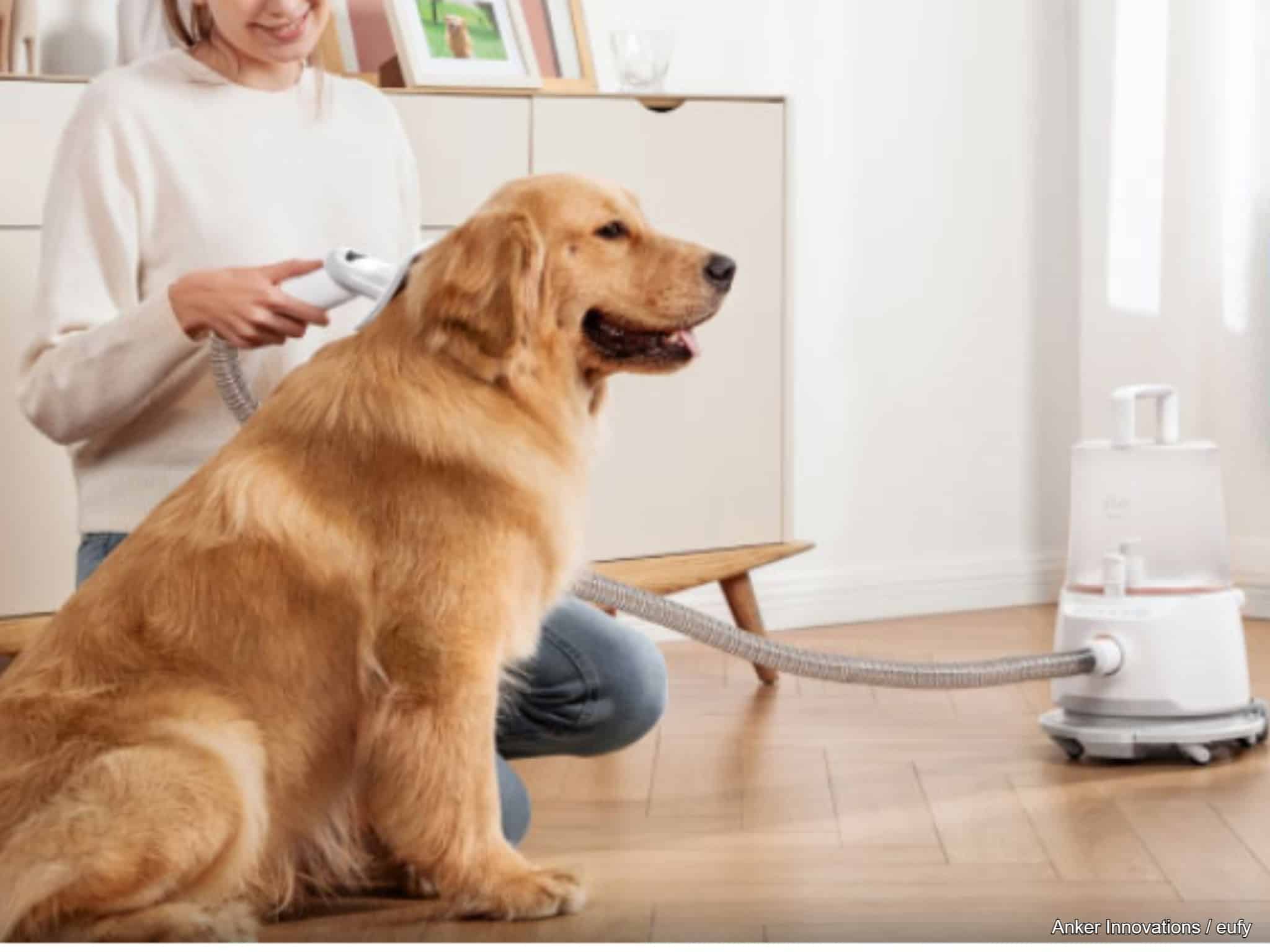 Hund wird mit Fellstaubsauger gebürstet