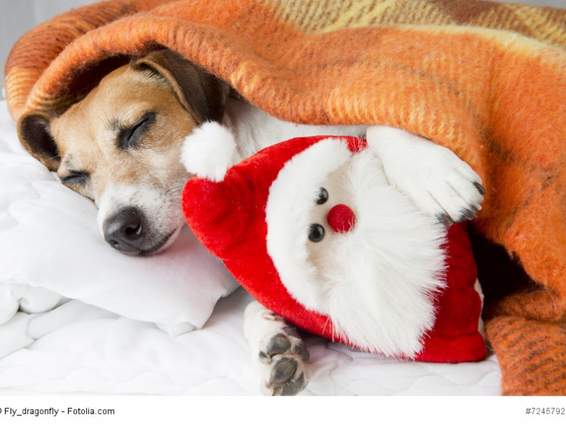 Bald ist Weihnachten.
