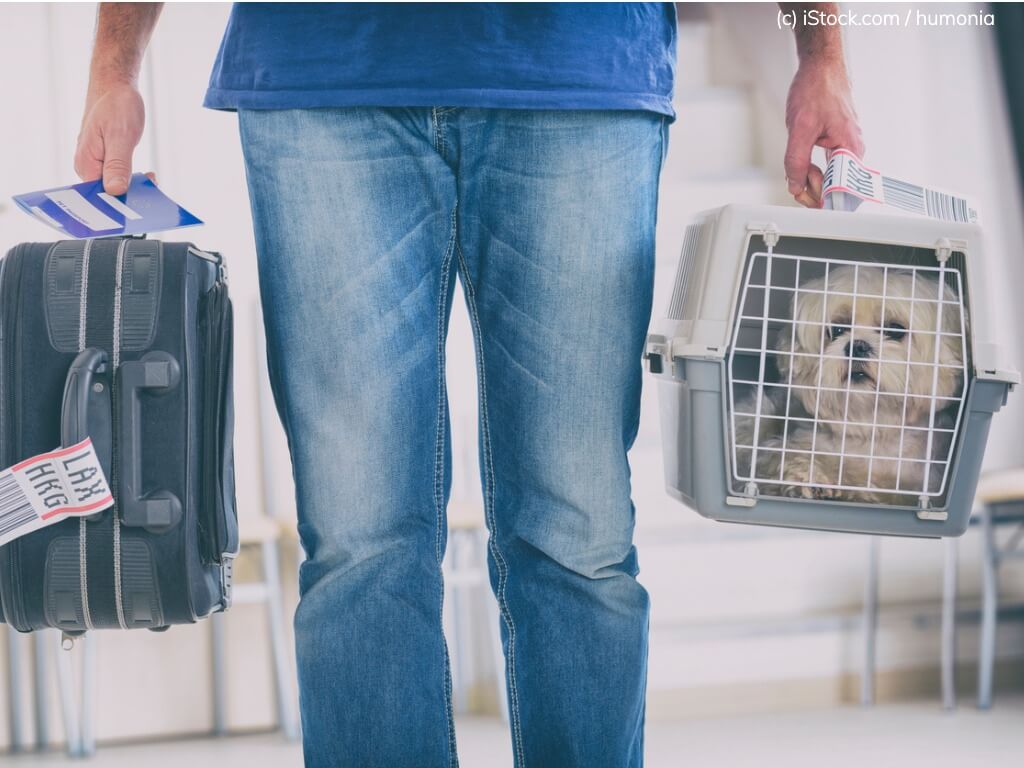 Mann trägt Hund in Transportbox