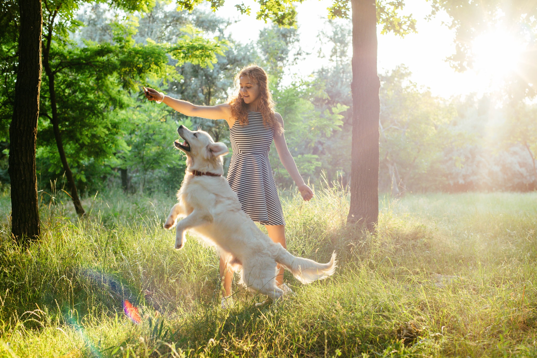 Ein Mädchen spielt im Park mit einem Golden Retriever.