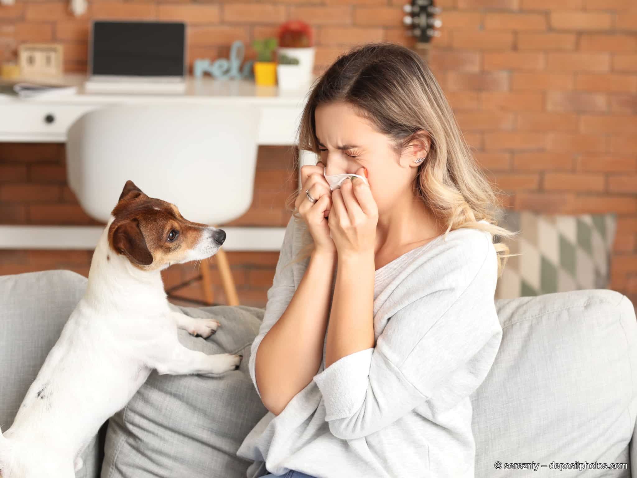 Eine Hundeallergie ist für Betroffene meist schlimm.