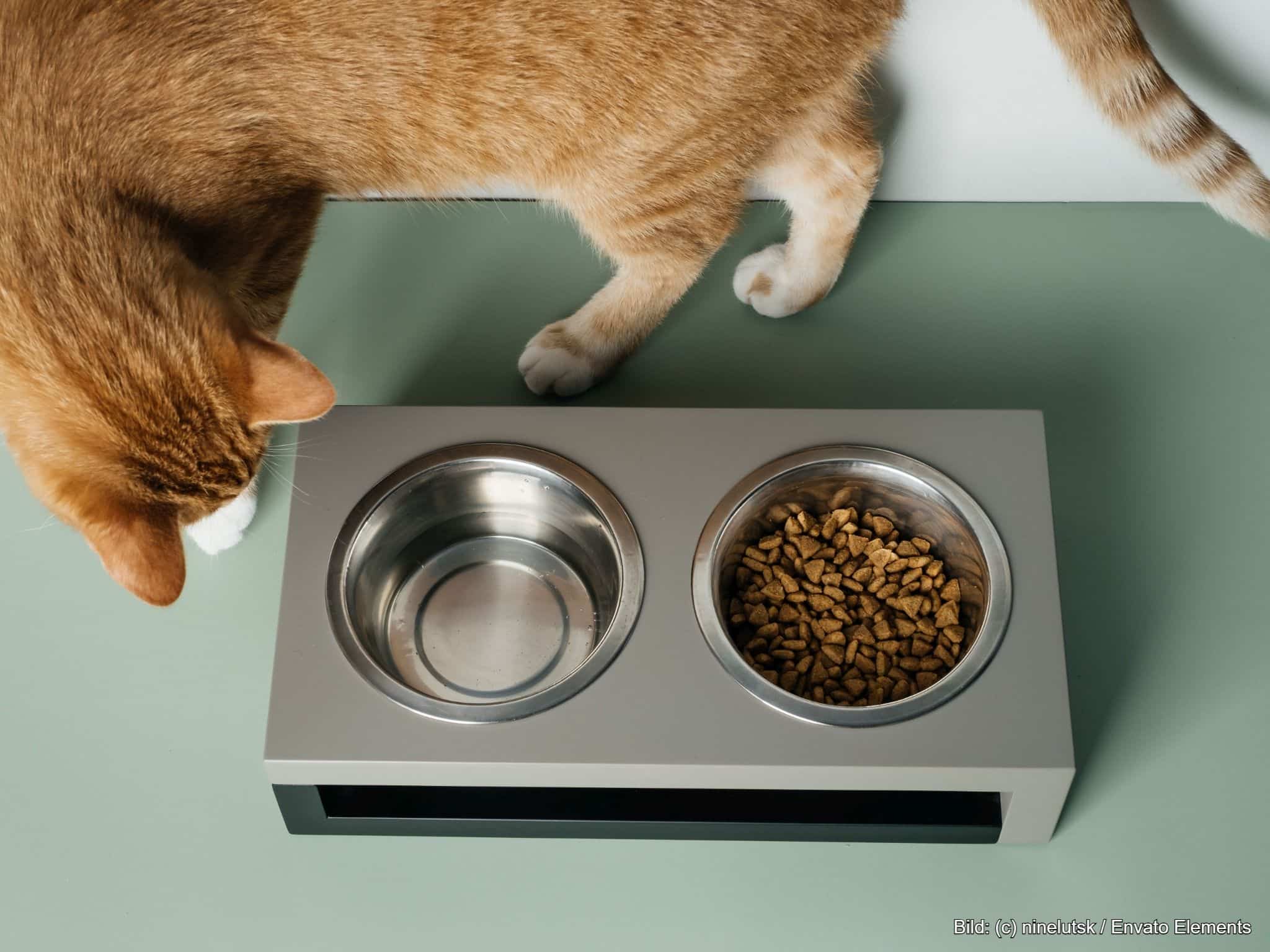 Napfunterlage Katze Bodenschutz